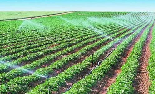 嗯嗯嗯啊啊啊视频软件农田高 效节水灌溉